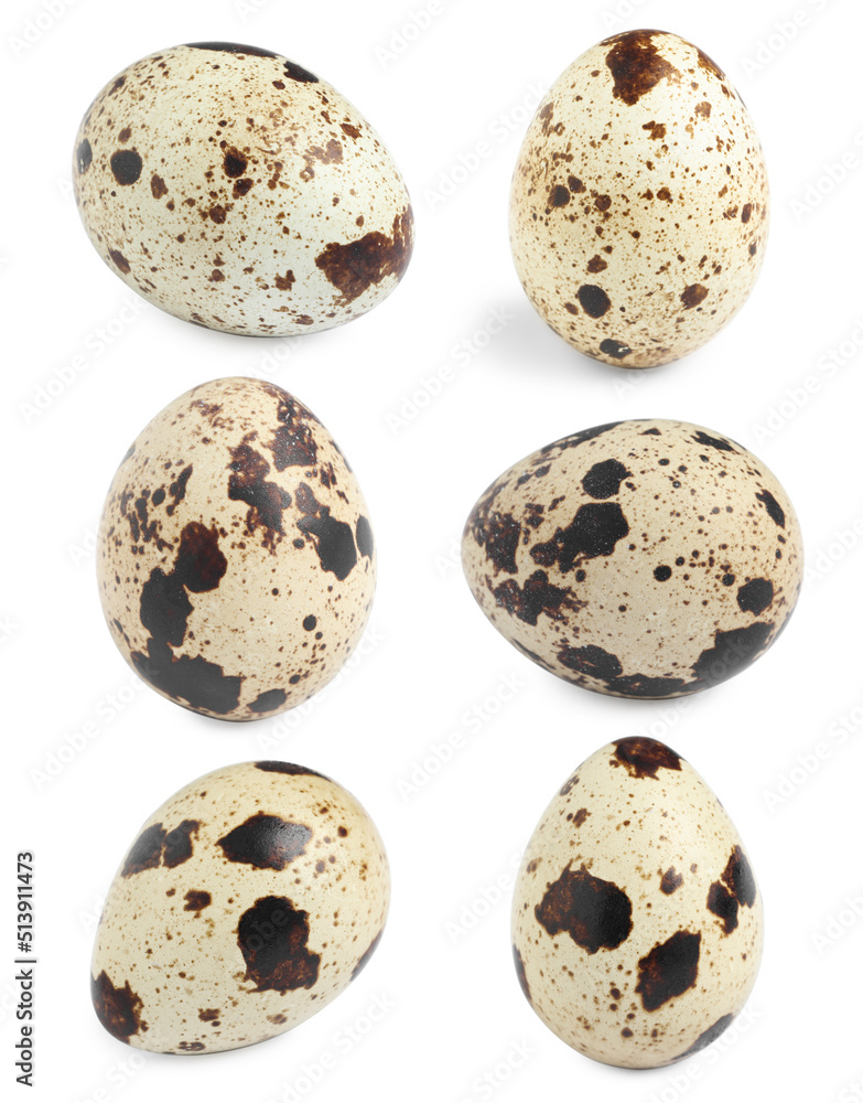 Set with quail eggs on white background Set with quail eggs on white background