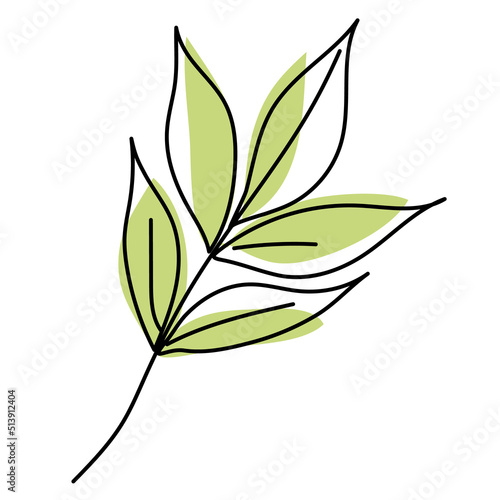 Green ash leaf isolated on white background. Leaves in linear art with the addition of colored spots. Vector illustration.