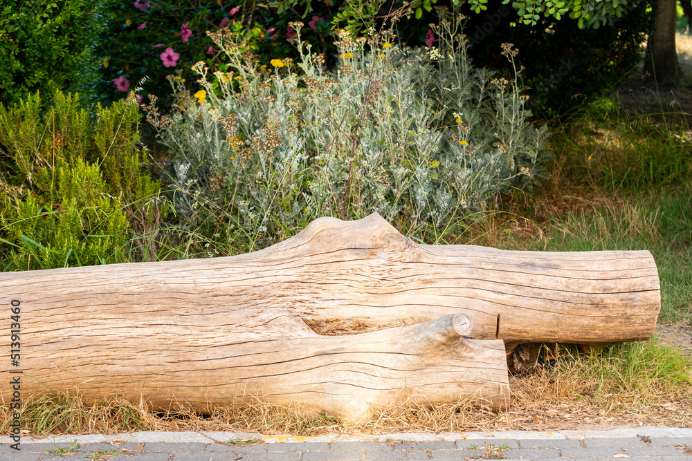 Fototapeta premium Tronco de madera en el parque