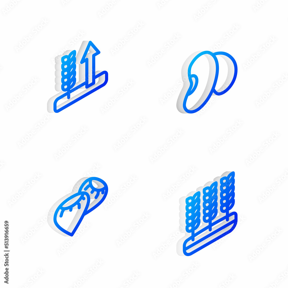 Set Isometric line Beans, Wheat, Seed and icon. Vector Set Isometric line Beans, Wheat, Seed and icon. Vector