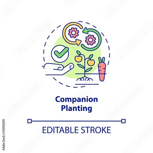 Companion planting concept icon. Planting different crops together. Gardening method abstract idea thin line illustration. Isolated outline drawing. Editable stroke. Arial, Myriad Pro-Bold fonts used