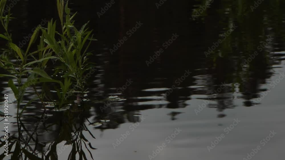 Dark waters of the river. Dramatic water twilight. Soft focus Dark waters of the river. Dramatic water twilight. Soft focus