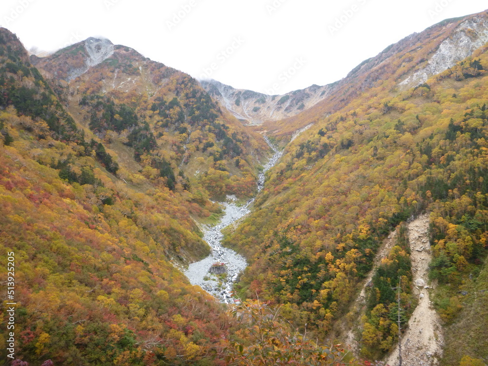 Fototapeta premium 秋の山