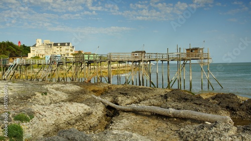 Bois mort sur rocher et Carrelets de Saint- Palais-Sur-Mer