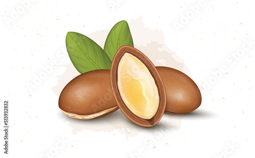 Vector illustration of an argan nuts and half seed with green leaves
