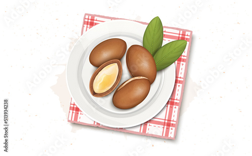 Argan Seeds vector illustration with green leaves from the top view