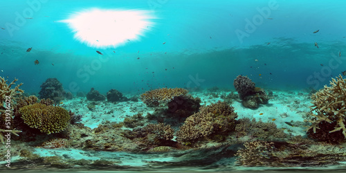 Soft and hard corals. Underwater fish garden reef. Reef coral scene. Philippines. Virtual Reality 360. © Alex Traveler