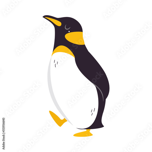 Funny Emperor Penguin as Aquatic Flightless Bird with Flippers Waddling Vector Illustration