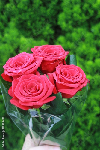 holding a bouquet of red roses