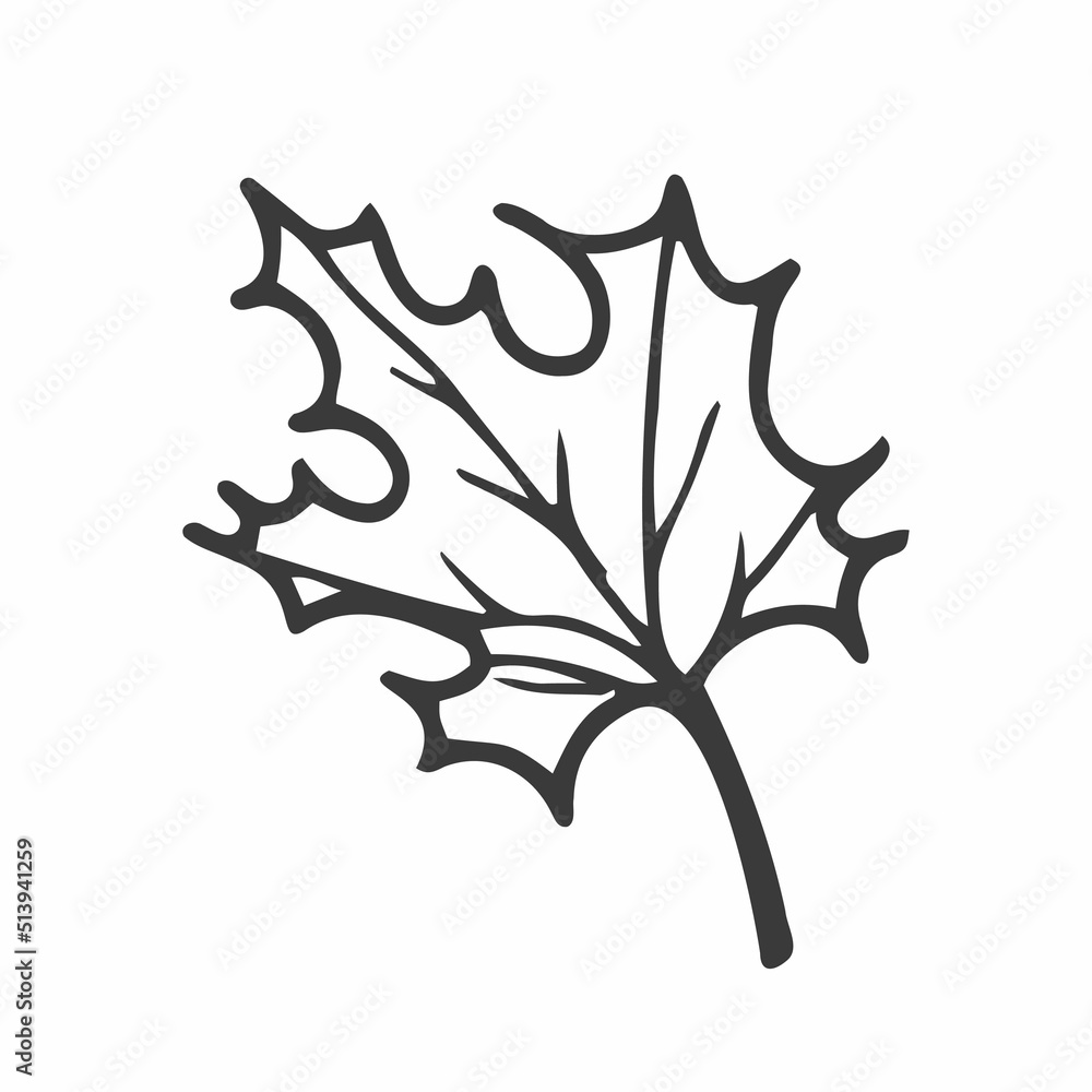 Naklejka premium Hand drawn maple leaf outline. Maple leaf in line art style isolated on white background.