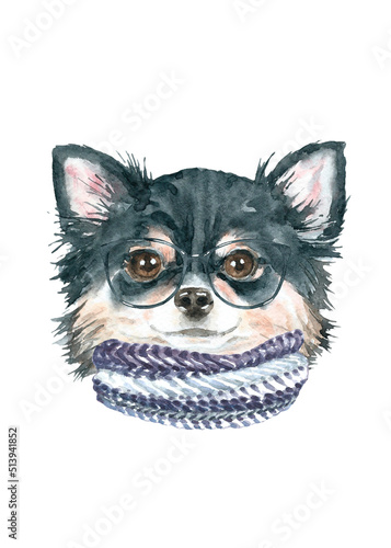 Watercolor dog breed  black long-haired chihuahua in scarf winter illustration  dog head hipster portrait  dog in funny hat  puppy fashion print  cute baby dog isolated on white background printable