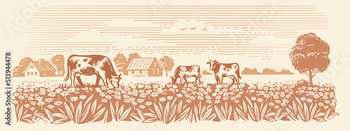 Village and landscape vector farm with cows