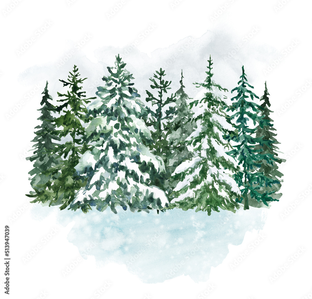 Watercolor pine forest illustration. Winter green trees with snow on branches.