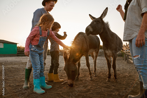 Slika na platnu Girl caress donkey near mother, father and brother