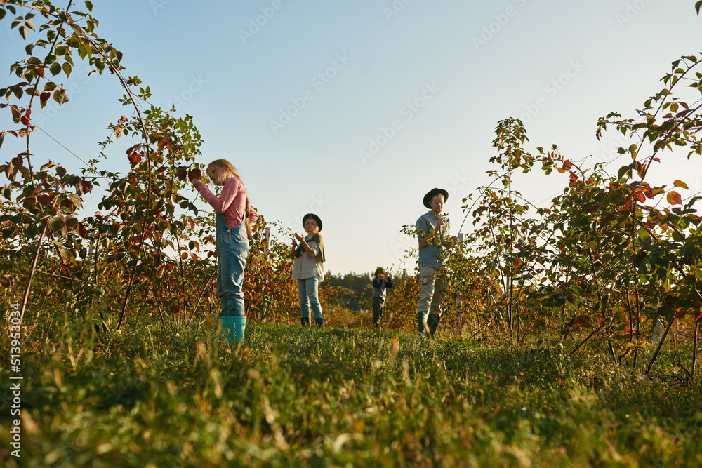 Young european family check fruit plant in garden Young european family check fruit plant in garden