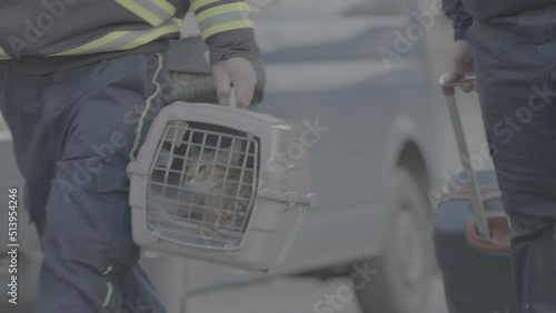 cat in a cage near ukraine borders