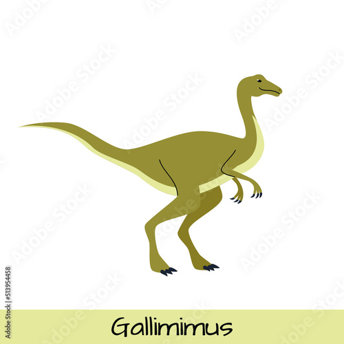 Gallimimus dinosaur vector illustration isolated on white background.