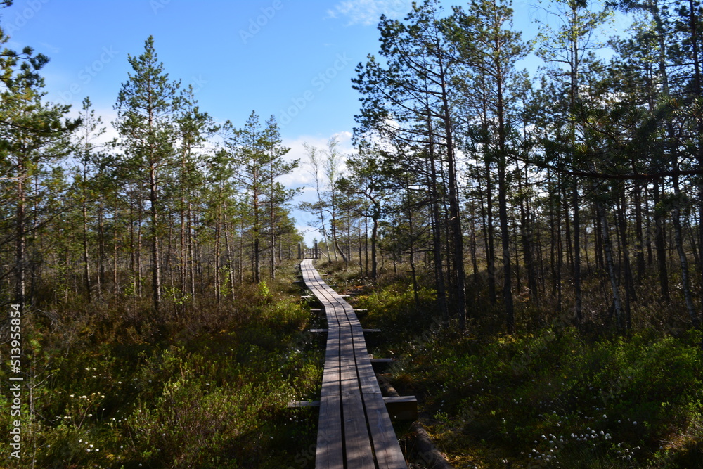 travelling outside of riga