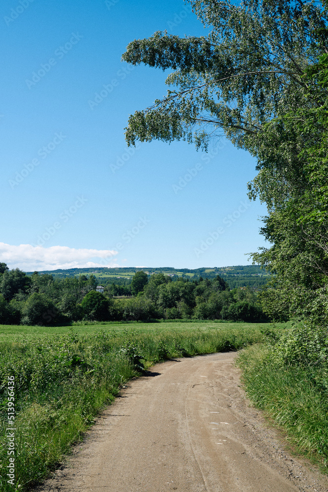 gravel road in the countryside of Toten, Norway