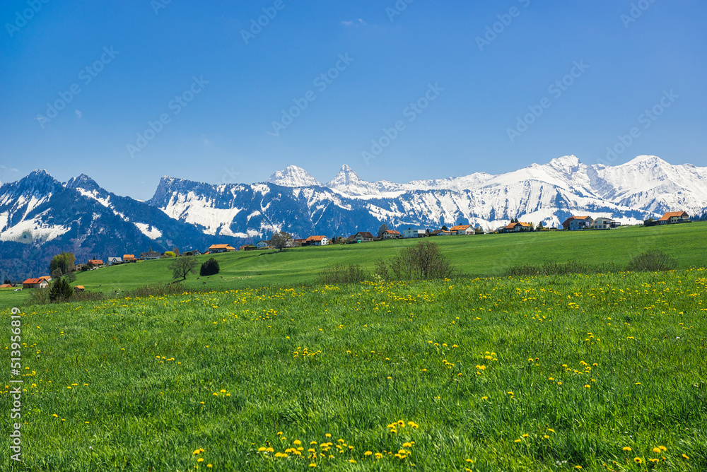 눈덮힌 산과 푸른 언덕의 스위스 풍경