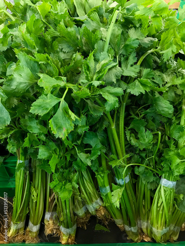 fresh celery leaves in the market