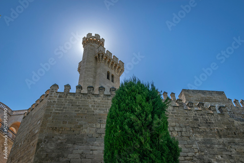 Palacio Real de la Almudaina (Palma de Mallorca) photo