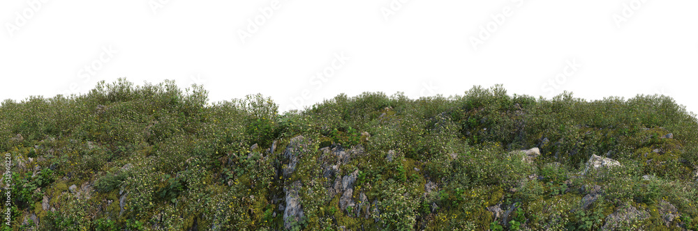 3d render grass hill with white background