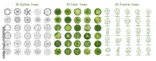 Tree for architectural floor plans. Entourage design. Various trees, bushes, and shrubs, top view for the landscape design plan. Vector illustration.