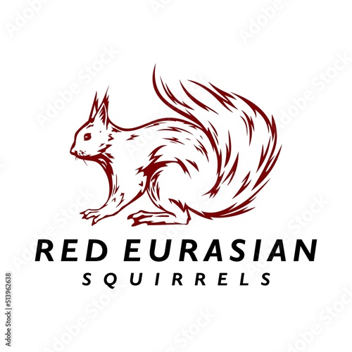 SQUIRRELS RED EURASIAN LOGO DESIGNS ICON VECTOR