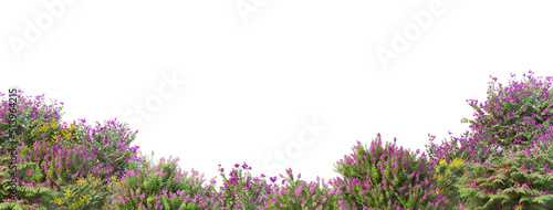 3d renders multiple forests with white backgrounds