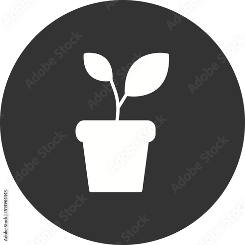 Plant pot Icon