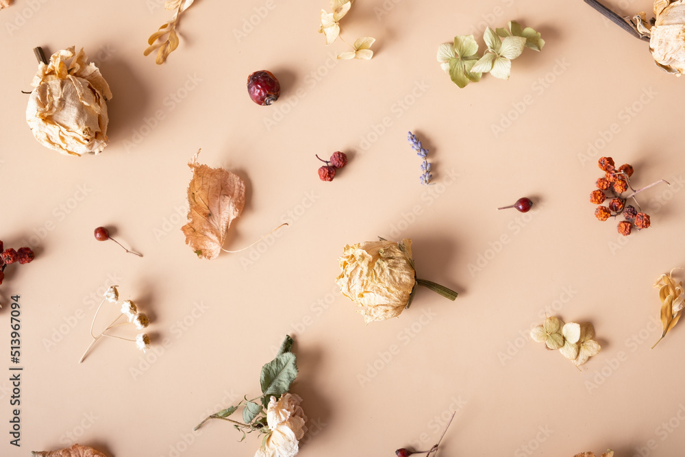 Obraz premium Autumn composition. Pattern made of dried leaves and flowers on pastel beige background. Autumn, fall concept. Flat lay, top view