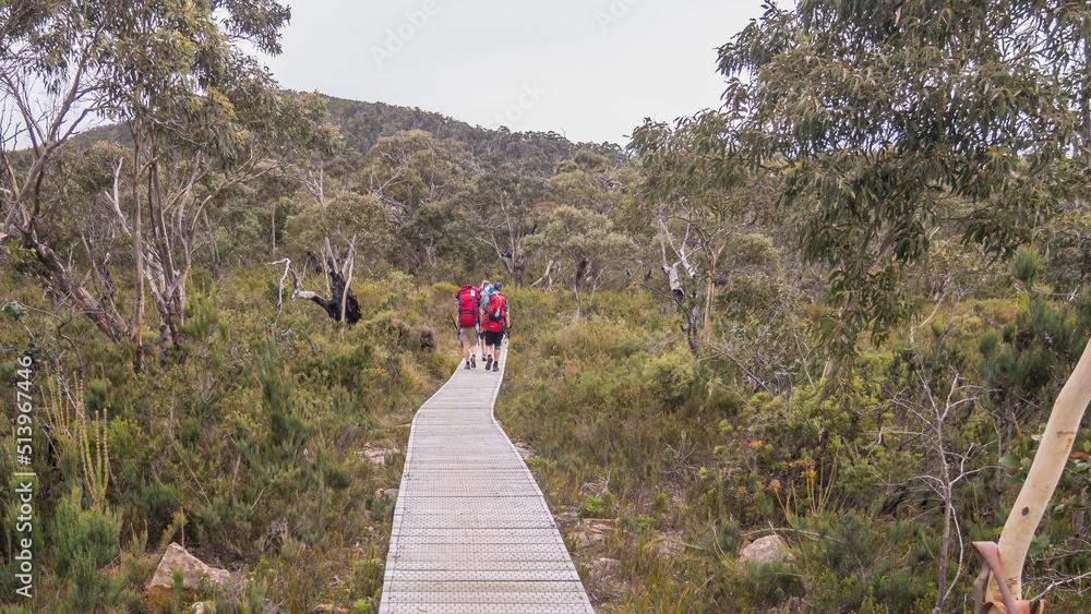 People walk on a raised boardwalk along the Three Capes Track in south-east Tasmania. March 2020