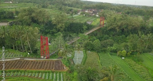 Aerial view showing Suspension Bridge in tropical area with vegetable plantation in the valley - JOKOWI BRIDGE,Indonesia photo