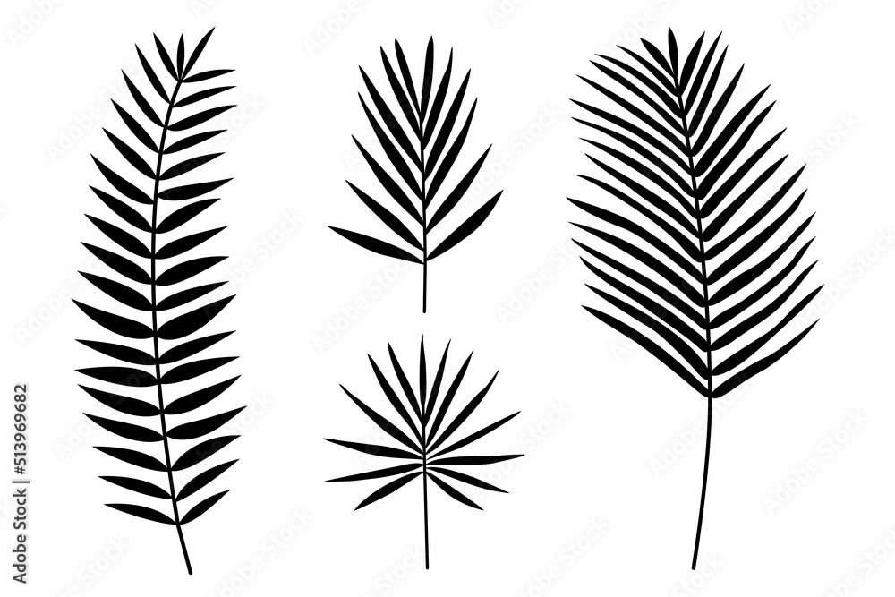 A set of silhouettes of tropical palm leaves A set of silhouettes of tropical palm leaves