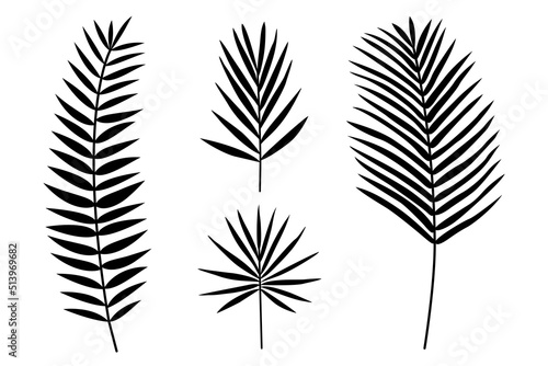 A set of silhouettes of tropical palm leaves