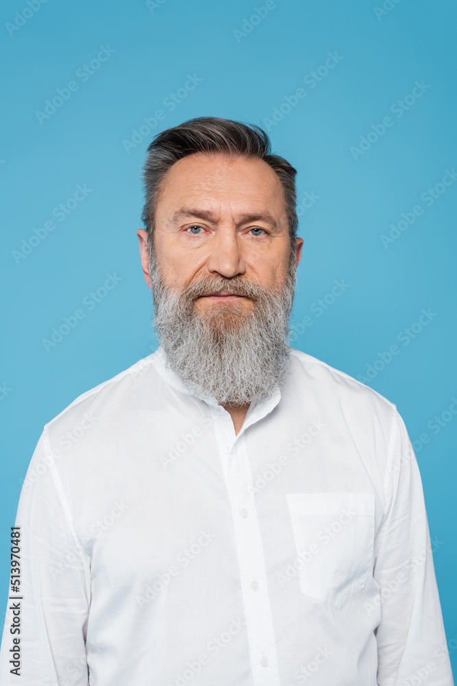 wise senior man with grey beard looking at camera isolated on blue. wise senior man with grey beard looking at camera isolated on blue.