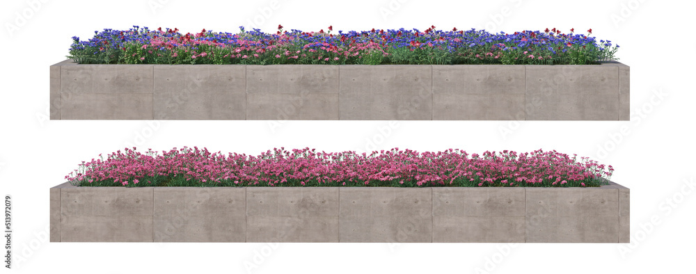 Obraz premium 3d render flower pickup with white background