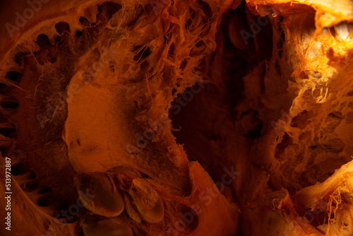 Fragment of a cross section of a pumpkin. Background, abstraction