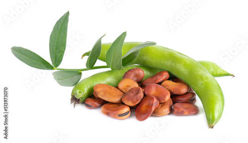 Fresh broad beans in pods with green leaf, isolated on white background. Dry fava beans.