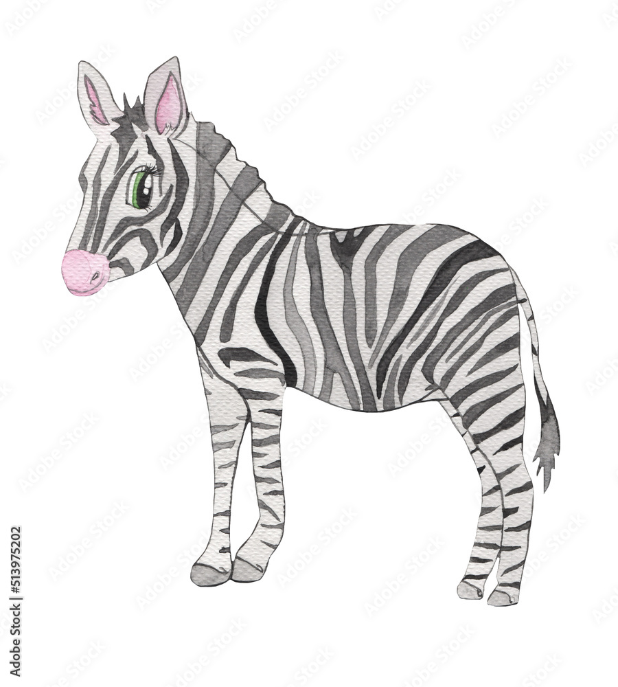 Obraz premium Safari animal. Hand drawn by watercolor. Zebra. Cartoon style. Cute kids animal. Isolated on white background