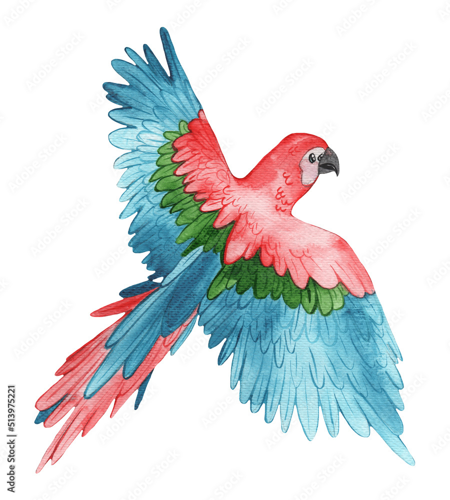 Fototapeta premium Safari animals set. Hand drawn by watercolor. Parrot. Cartoon style. Cute kids animal. Isolated on white background