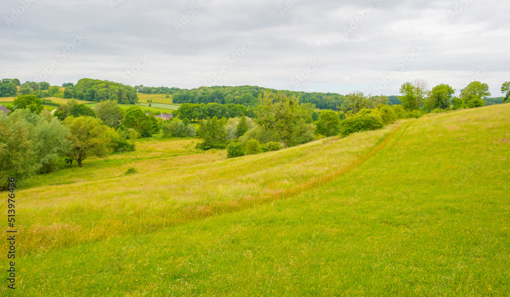 Fields and trees in a green hilly grassy landscape under a blue sky in sunlight in spring, Voeren, Limburg, Belgium, June, 2022
Fields and trees in a green hilly grassy landscape under a blue sky in sunlight in spring, Voeren, Limburg, Belgium, June, 2022