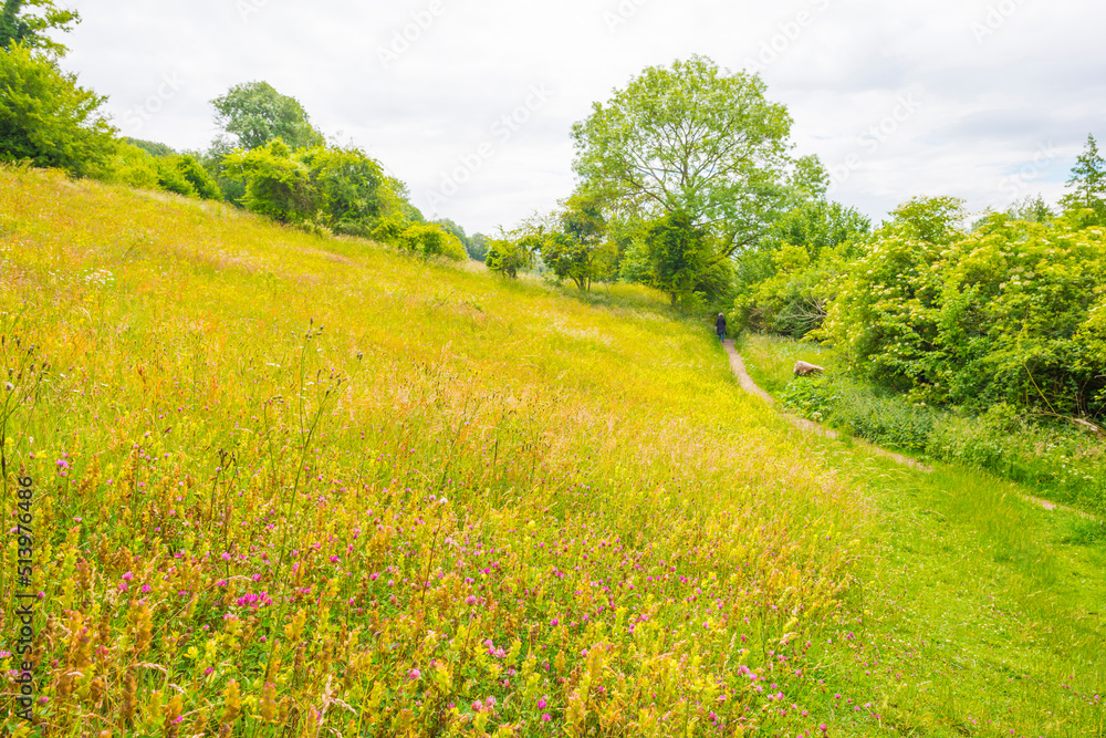 Fields and trees in a green hilly grassy landscape under a blue sky in sunlight in spring, Voeren, Limburg, Belgium, June, 2022
Fields and trees in a green hilly grassy landscape under a blue sky in sunlight in spring, Voeren, Limburg, Belgium, June, 2022
