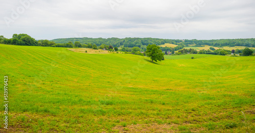 Fields and trees in a green hilly grassy landscape under a blue sky in sunlight in spring  Voeren  Limburg  Belgium  June  2022 