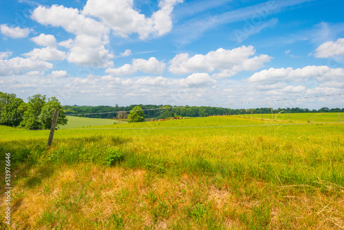 Fields and trees in a green hilly grassy landscape under a blue sky in sunlight in spring, Voeren, Limburg, Belgium, June, 2022