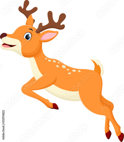 Cartoon cute deer isolated on white background