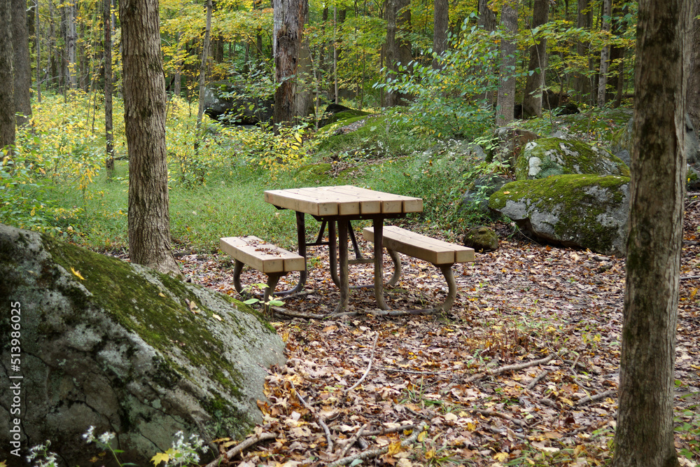 A picnic table in a shady woodland setting in fall, with trees, boulders, and fallen leaves A picnic table in a shady woodland setting in fall, with trees, boulders, and fallen leaves