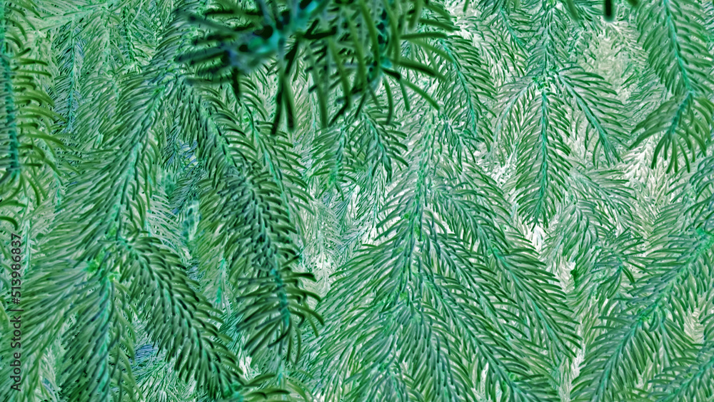Fir tree branch abstract background