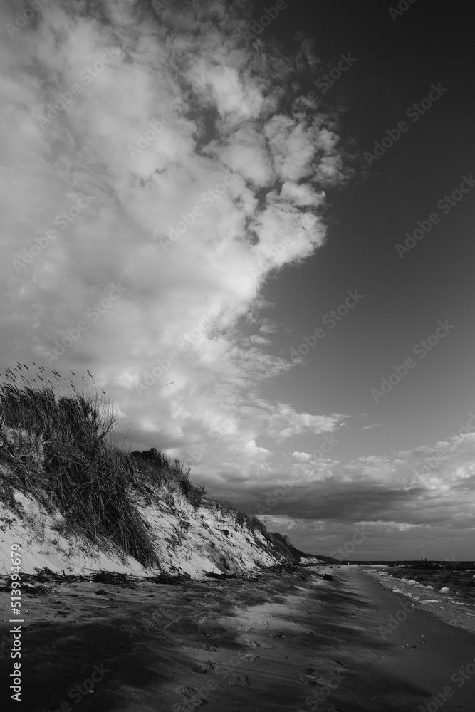 Sunset beautiful beach with sand dune landscape Black And White . High-quality photo